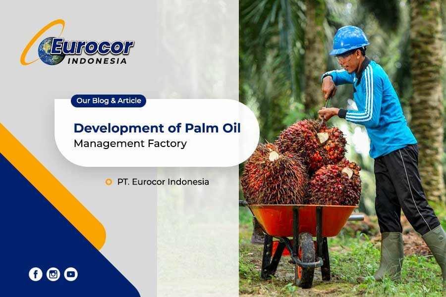 Development of Palm Oil Management Factory